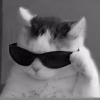 io.github.Brightdotdev/darwin-rag by Brightdotdev