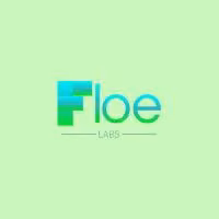 Floe Payments and Credit by Floe-Labs