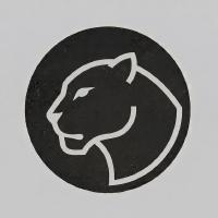 panther-mcp by PantherWatch