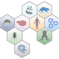 agr_postgres_mcp by alliance-genome