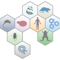 agr_postgres_mcp by alliance-genome