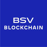 @bsv/mcp by bsv-blockchain