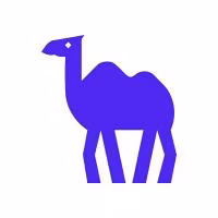 terminal-toolkit-mcp by camel-ai