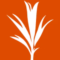 MCP Toolsets Runtime by developmentseed