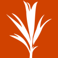 MCP Toolsets Runtime by developmentseed