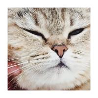 dinh-ai-system-exe-com-vn