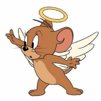 jiarongli517021911144