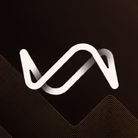 Perceptron Vision MCP Server by perceptron-ai-inc