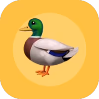 com.printyourduck/quote by printyourduck