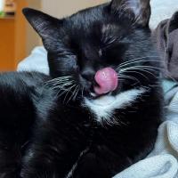 servants-of-the-server-fire