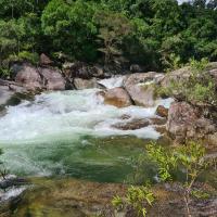 the-real-therealorry