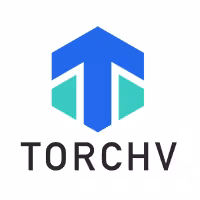 TorchV AIS MCP Server by torchv