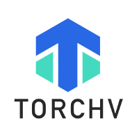 TorchV AIS MCP Server by torchv
