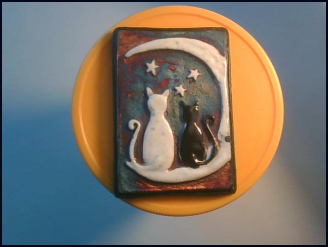 자석의 웹캠 캡처