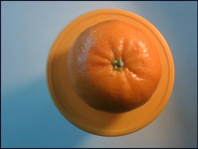 오렌지색 웹캠 캡처