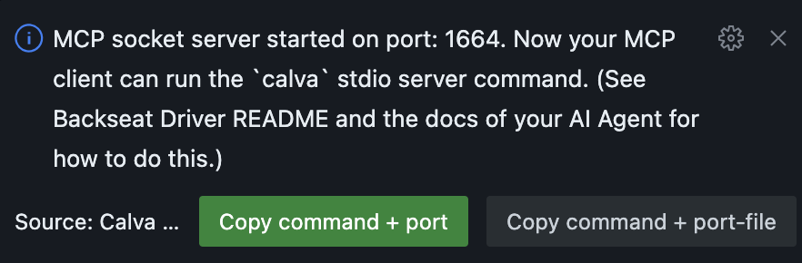 MCP Server Started message with Copy Command button