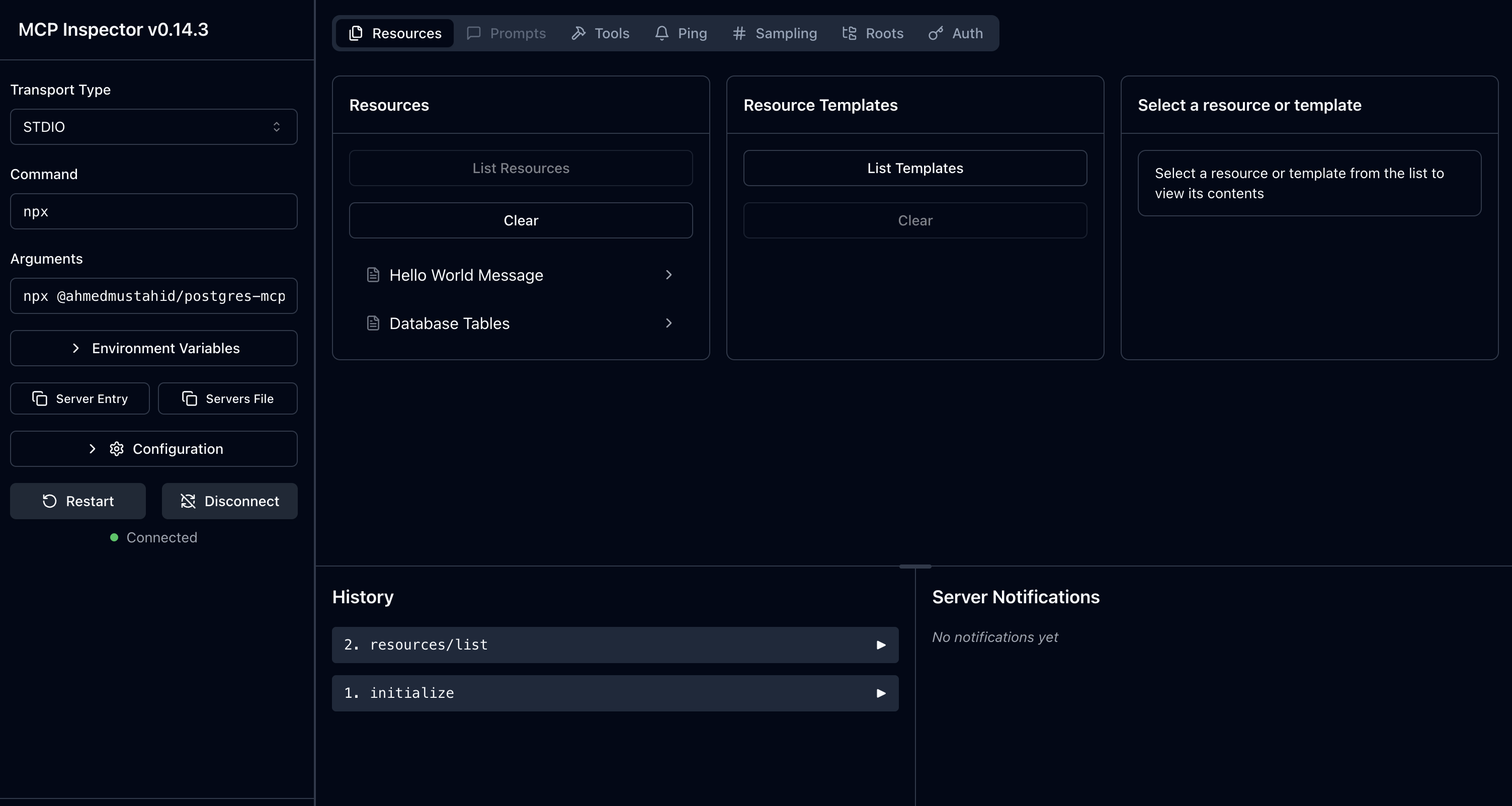 Stdio in MCP Inspector