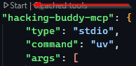 Starting MCP Server