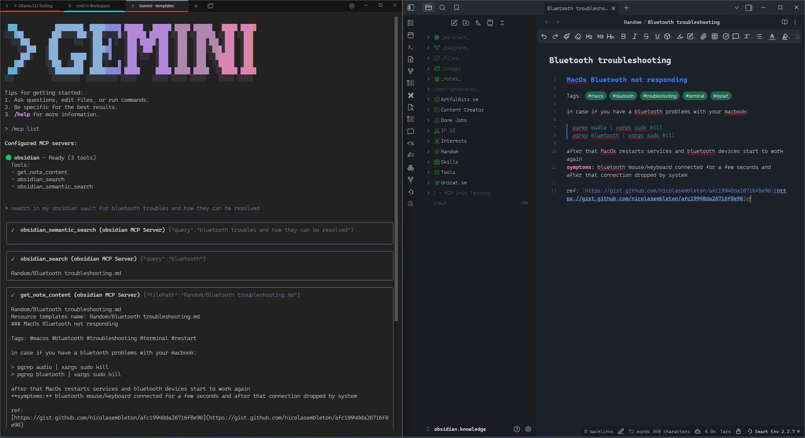 Gemini CLI Example