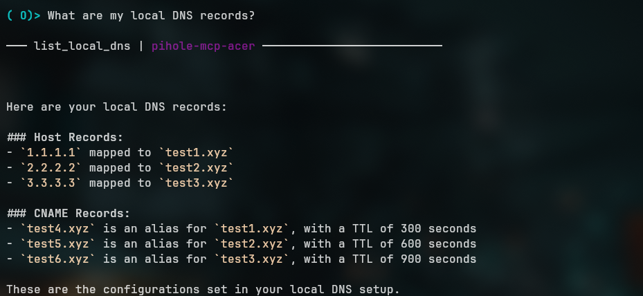 Captura de pantalla de la herramienta DNS local
