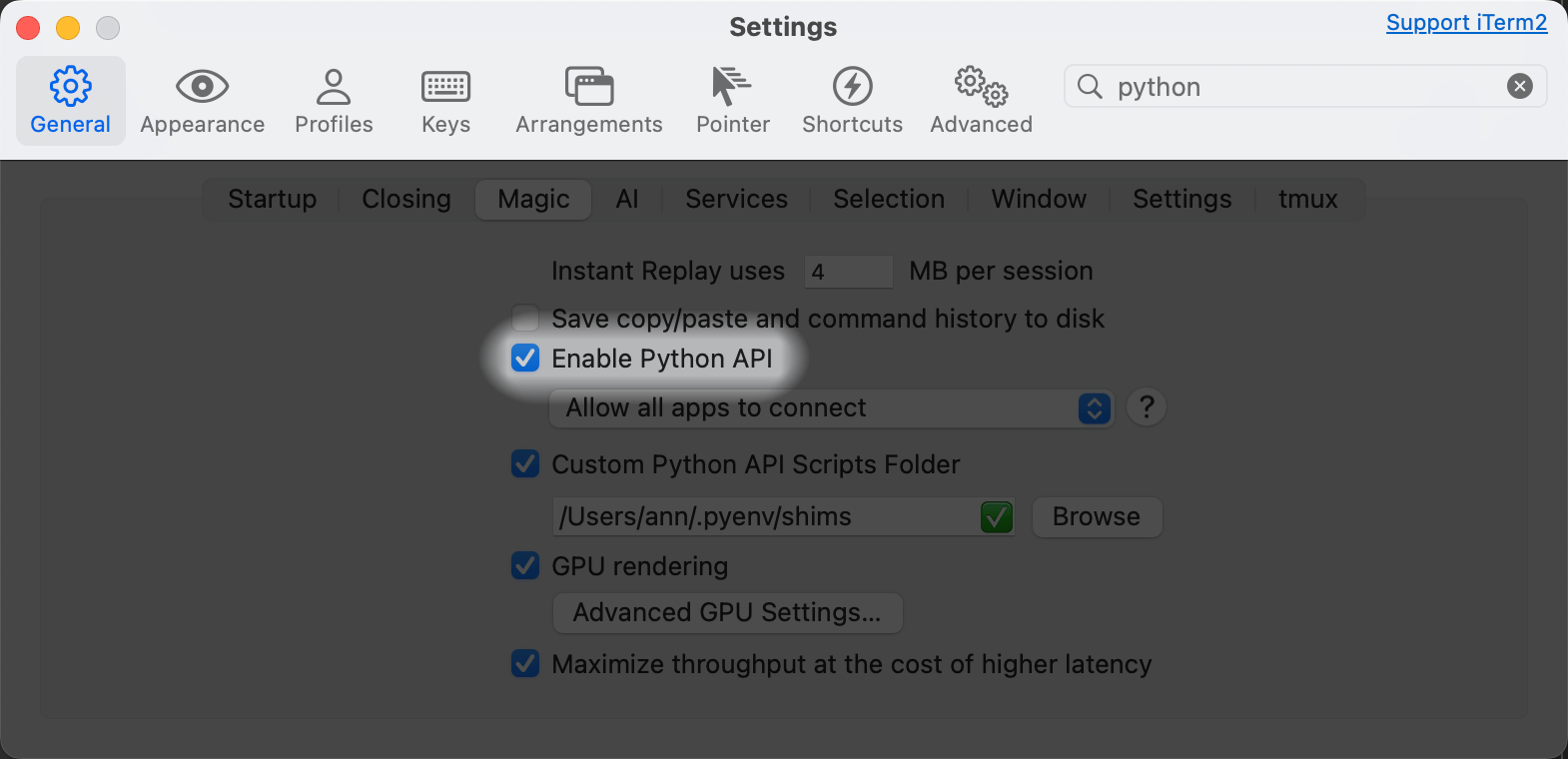 Enable Python API in iTerm2